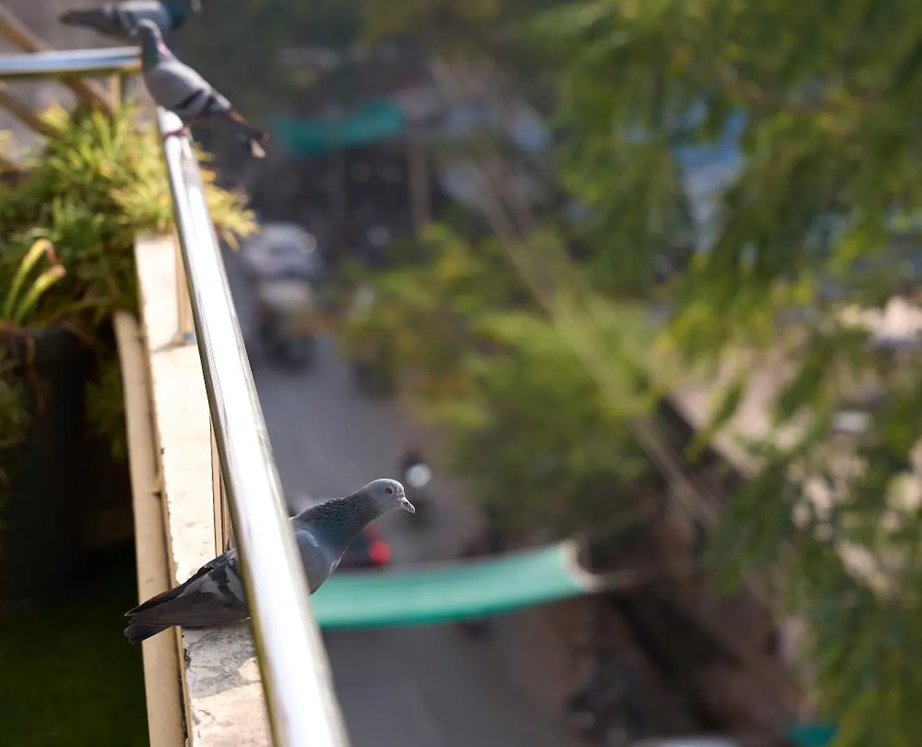 Ticana 2 Bedroom Living & Kitchen With Lake View Garden Rooftop Udaipur 0*,  Hindistan