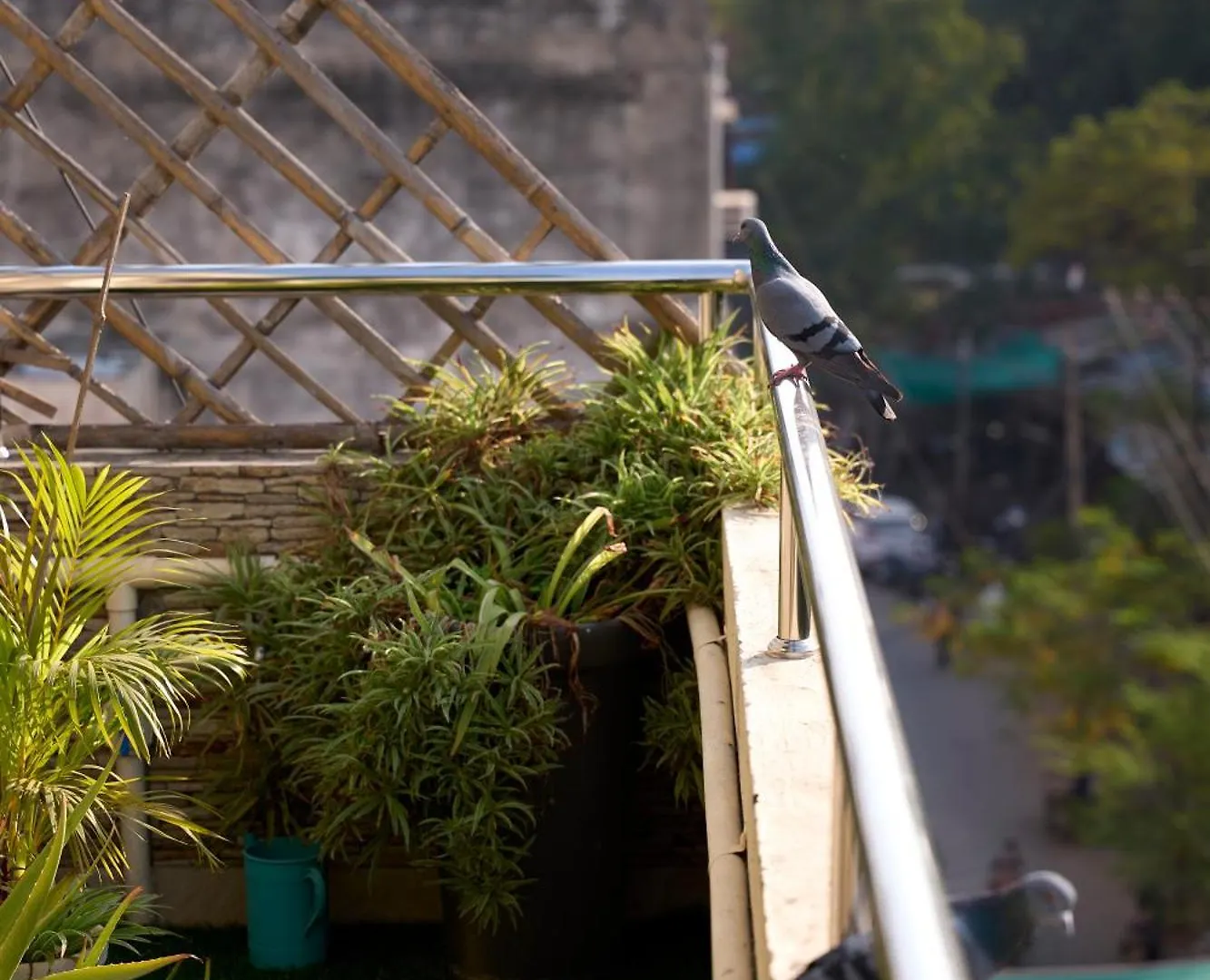 Ticana 2 Bedroom Living & Kitchen With Lake View Garden Rooftop Udaipur 0*,  Hindistan