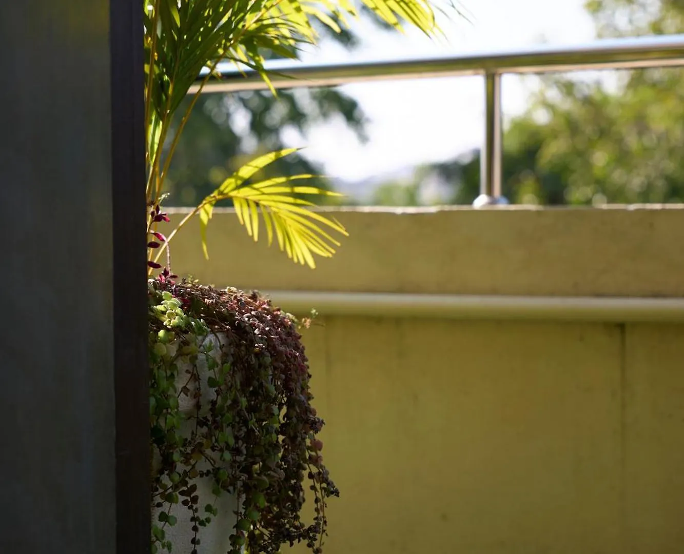Daire Ticana 2 Bedroom Living & Kitchen With Lake View Garden Rooftop Udaipur Hindistan