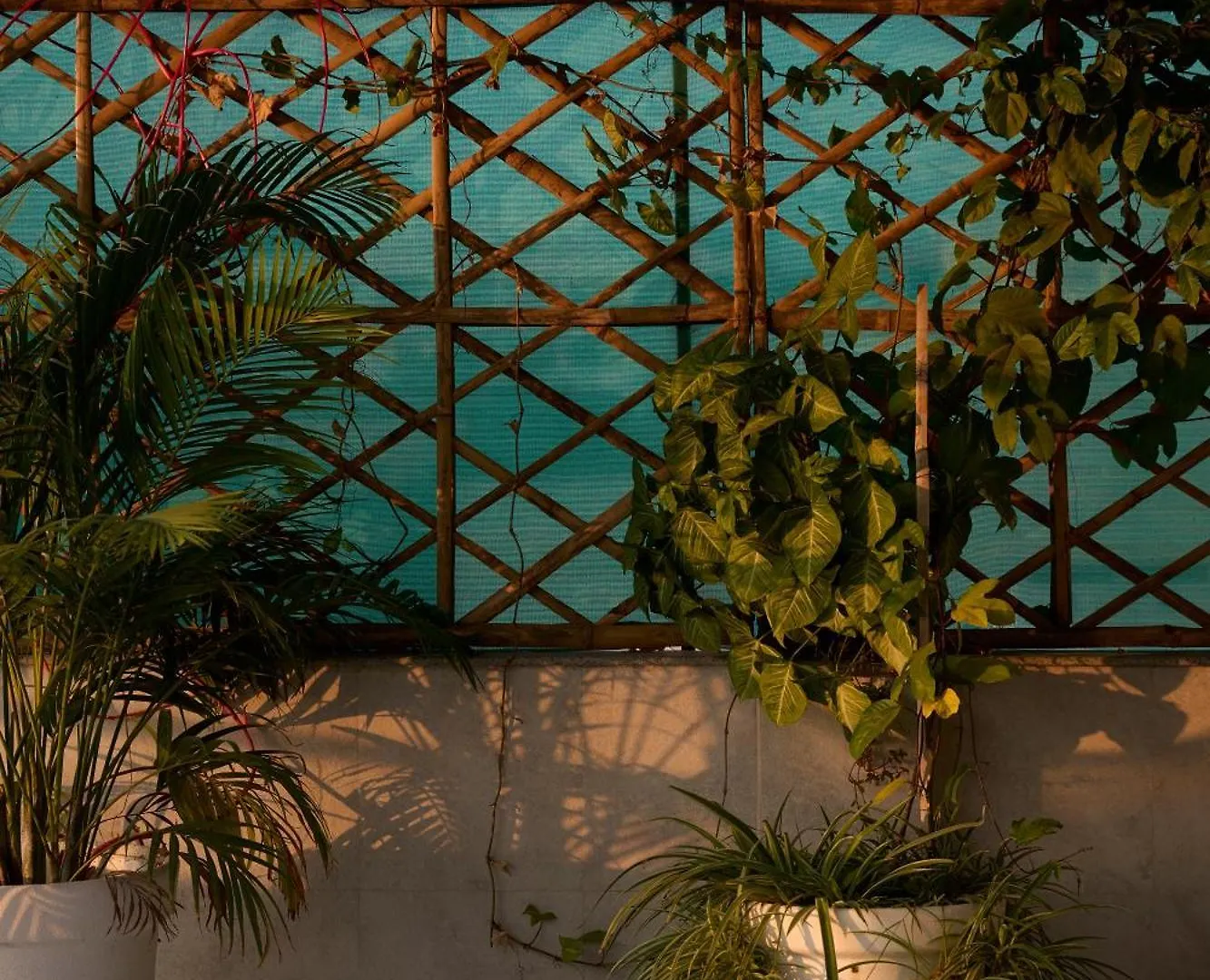 Ticana 2 Bedroom Living & Kitchen With Lake View Garden Rooftop Udaipur Daire