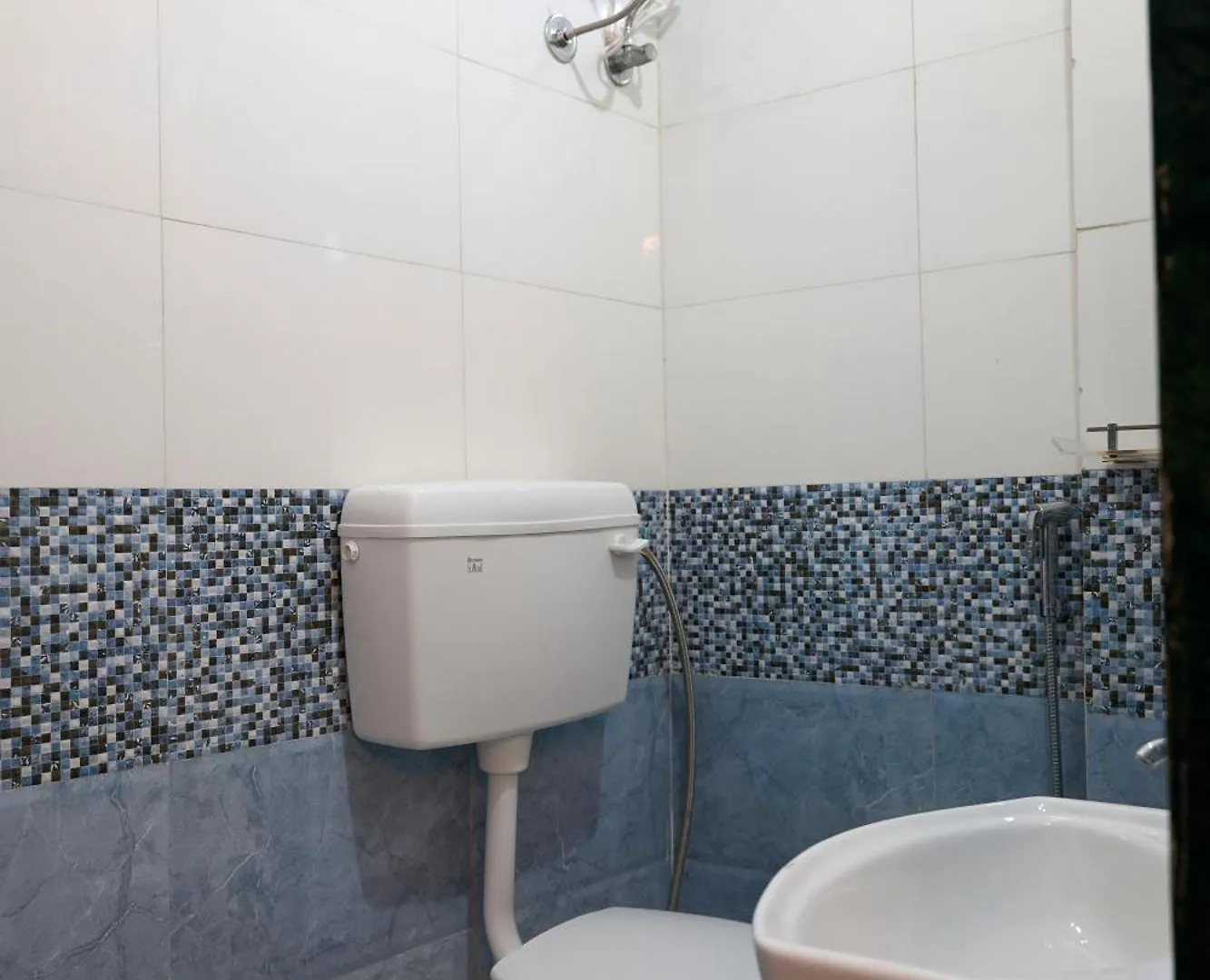 Ticana 2 Bedroom Living & Kitchen With Lake View Garden Rooftop Udaipur